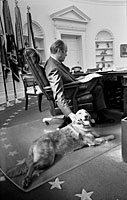 President Ford and his golden retriever, Liberty, in the Oval Office