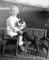 Gerald Ford with his pet Boston Terrier. Different sources identify the dog as either Spot or Fleck