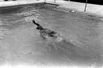 President Ford tries out the new White House swimming pool