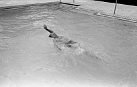 President Ford swimming in the new White House pool