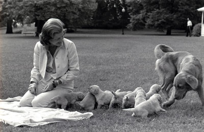 First Lady Betty Ford  and her pet golden retriever,  Liberty, watch over Liberty’s puppies on the South Lawn of the White House.   