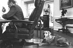 photo of Ford's Dog Liberty