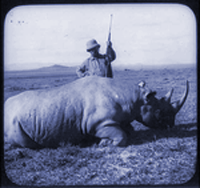Teddy in Africa; photo courtesy the Library of Congress