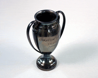 Swimming trophy